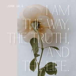 Meet your Posher, Nailah